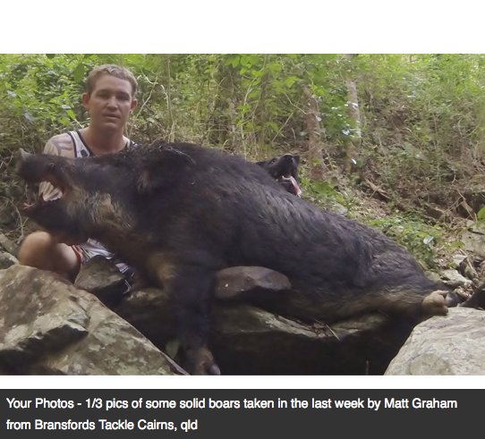 Screen Shot 2013-10-02 at 1.34.26 PM